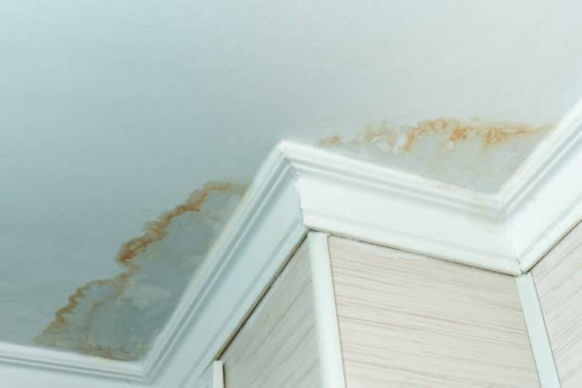 Détection de fuite et prévention d'humidité dans votre toiture.